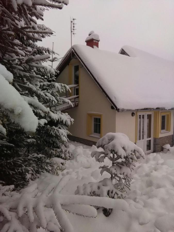 Penzion Kunvald Konciny Buitenkant foto