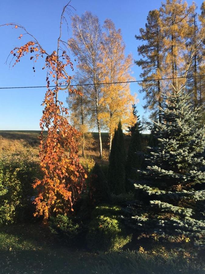 Penzion Kunvald Konciny Buitenkant foto